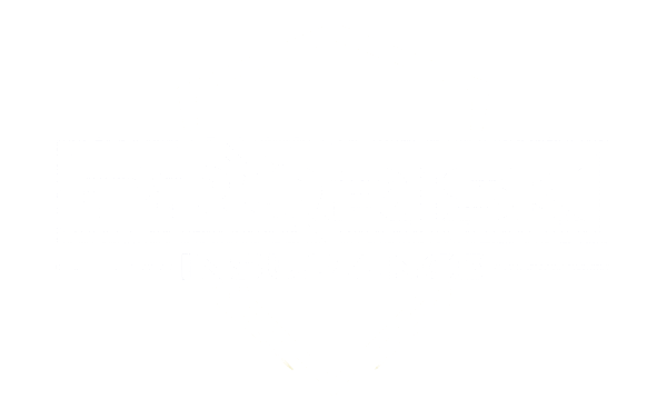 ProRisk Logo Recolor white